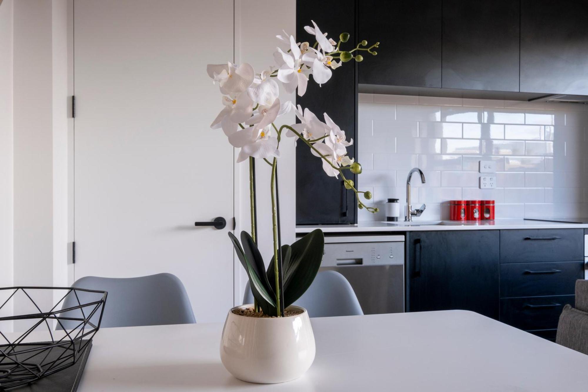 Luxury 2 Bed Townhome In Cbd ไครสต์เชิร์ช ภายนอก รูปภาพ