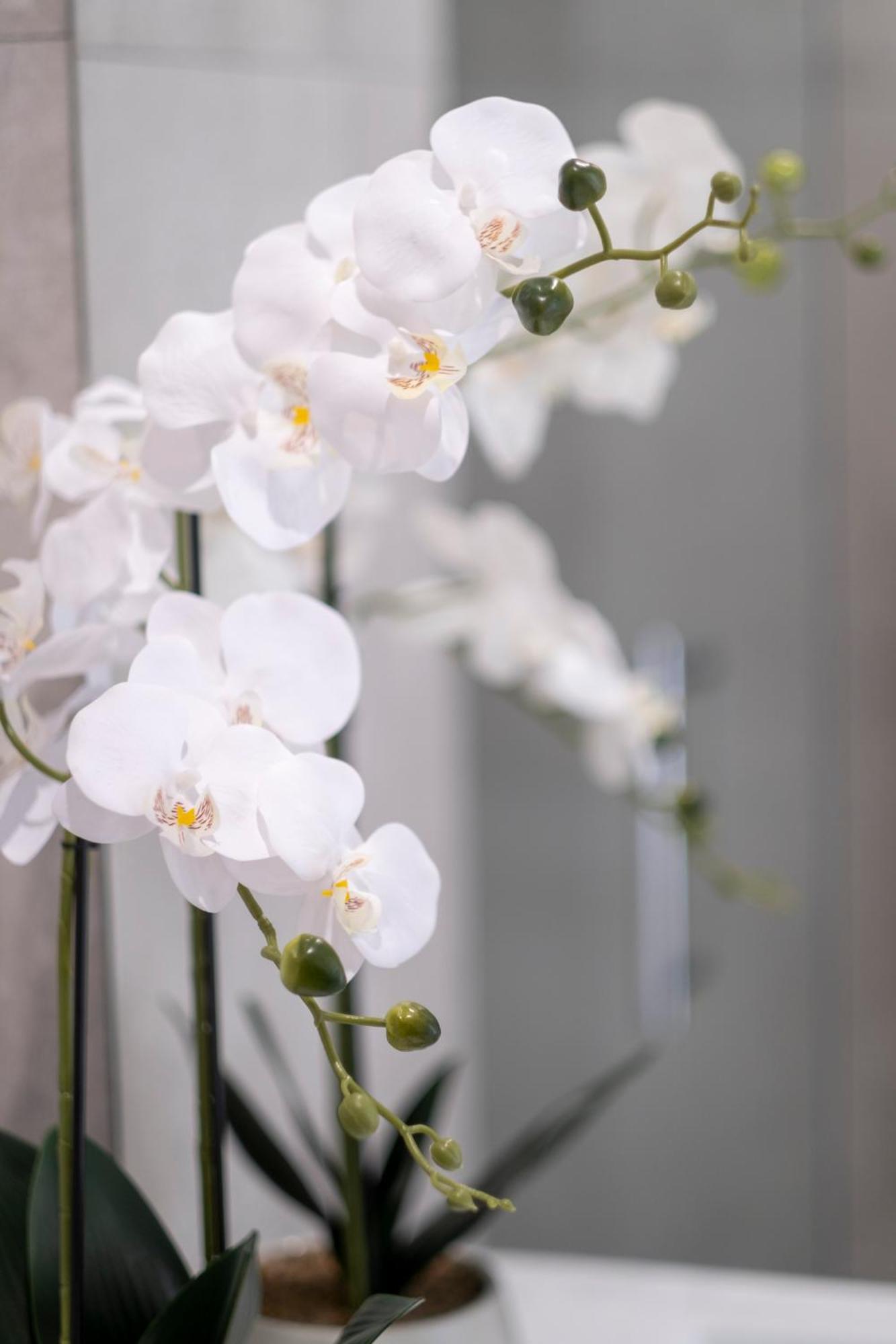 Luxury 2 Bed Townhome In Cbd ไครสต์เชิร์ช ภายนอก รูปภาพ
